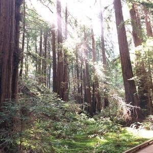 Meet your Posher, Sjoewald.